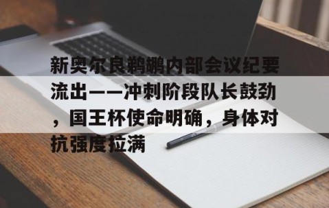 九游娱乐APP-新奥尔良鹈鹕内部会议纪要流出——冲刺阶段队长鼓劲，国王杯使命明确，身体对抗强度拉满的简单介绍