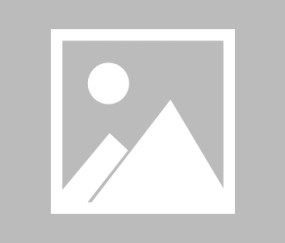 Jiuyou Sports-包含多伦多猛龙迎社区盾关键赛；国际比赛日主帅复盘；引发热议；资深球员宣示担当的词条